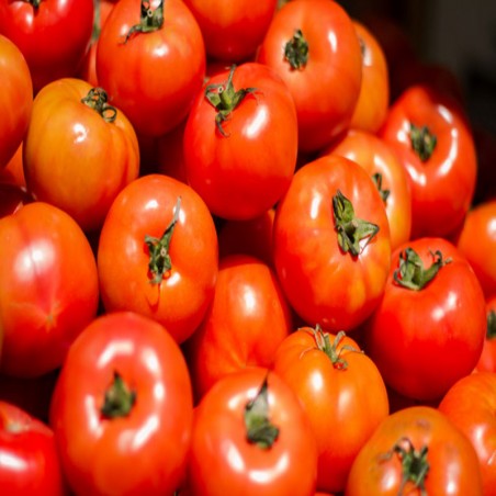 Tomate natural
