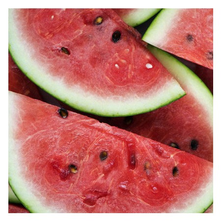 Sandia