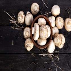 Champiñones