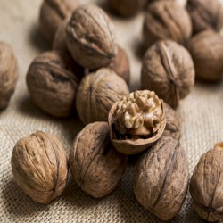Nueces