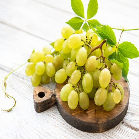 Uvas negras