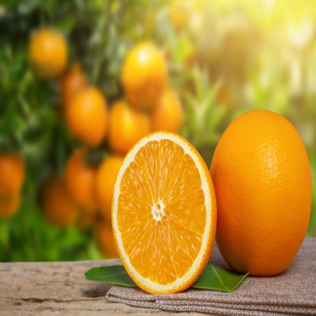 Naranja