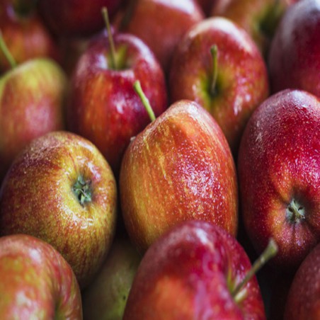 Manzana