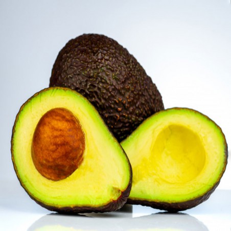 Aguacate