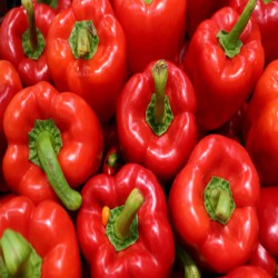 Pimiento rojo