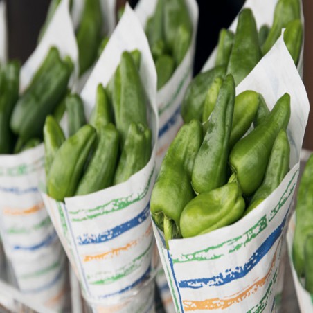 Pimiento verde