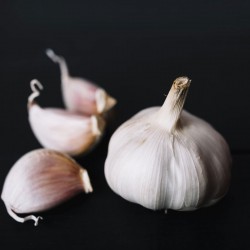 Ajo