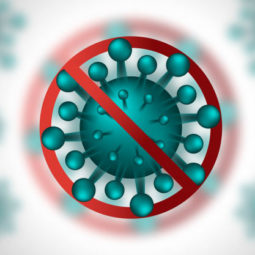 Sistema inmune para el virus